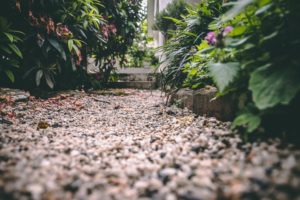 keep your garden