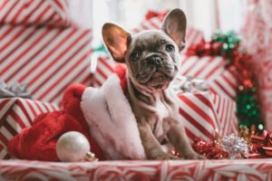 get organised before christmas