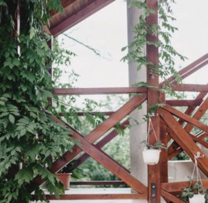 garden post lockdown