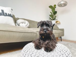 air conditioning and heating