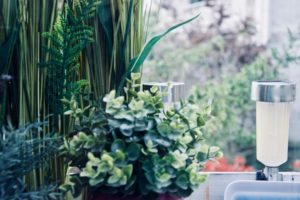 garden design ideas