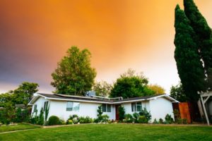 choosing solar panels