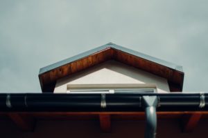 roof and gutter cleaning