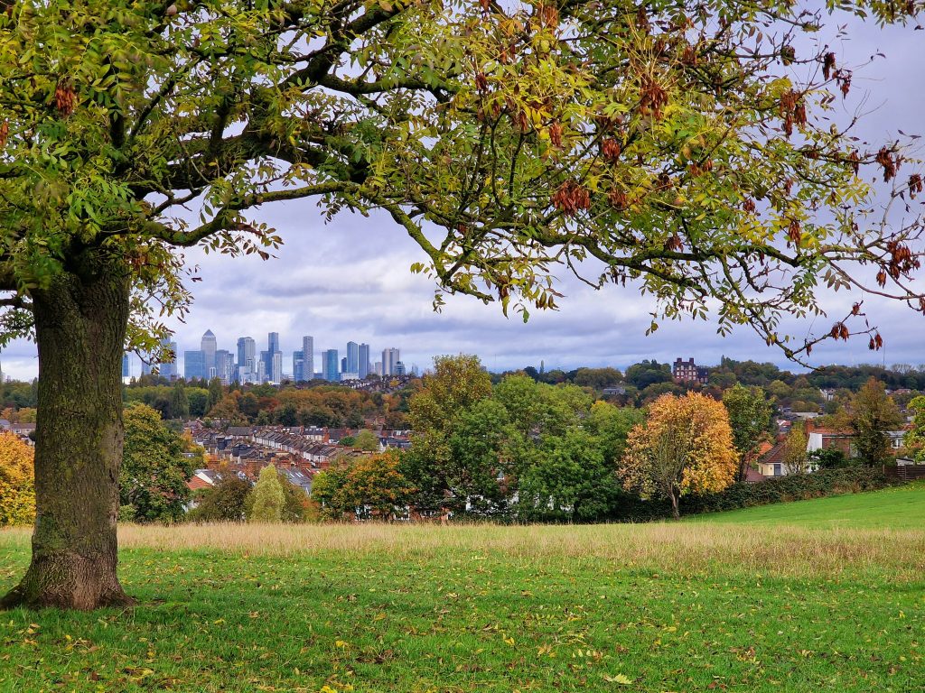 London Luxury Relocation